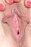 Big Pussy Lips Large Labia Huge Vagina Gaping